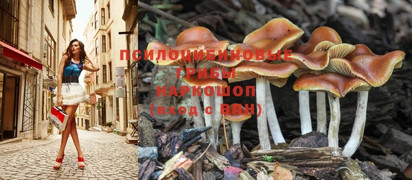 ешки Армянск
