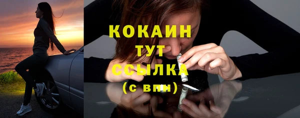 PSILOCYBIN Аркадак