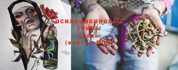 PSILOCYBIN Аркадак