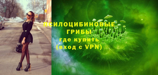 PSILOCYBIN Аркадак